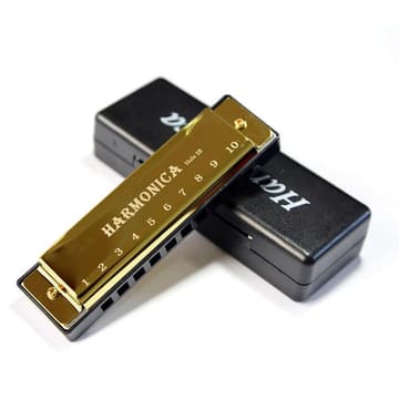 Harmonica 10 Holes 20 Tones Key of C Blues Jazz Band Harmonica Early Education Music Sensory Integration Training