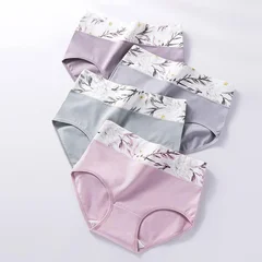 Women's Cotton Briefs, 4 Pack, M–5XL-19