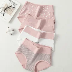 Women's Cotton Briefs, 4 Pack, M–5XL-26