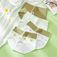 Women's Cotton Briefs, 4 Pack, M–5XL-11