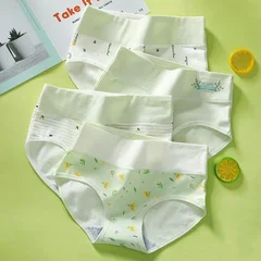 Women's Cotton Briefs, 4 Pack, M–5XL-20