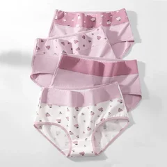 Women's Cotton Briefs, 4 Pack, M–5XL-21