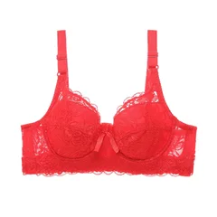 Women's Plus Size Underwire Lace Bra, 36–46-17