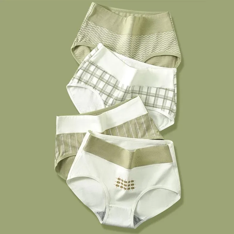 Women's Cotton Briefs, 4 Pack, M–5XL