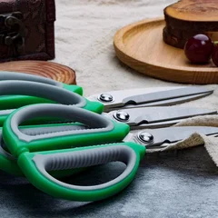 Heavy-Duty Stainless Steel Tailor Scissors-2