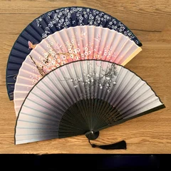 Silk Folding Fan with Bamboo Ribs & Tassel-2