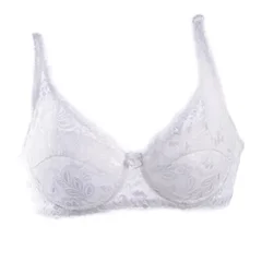 2025 Women's Ultra-Thin Cotton Lace Deep V Push-Up Bra-2
