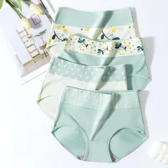 Women's Plus Size Cotton High-Waist Briefs, 4 Pieces-18