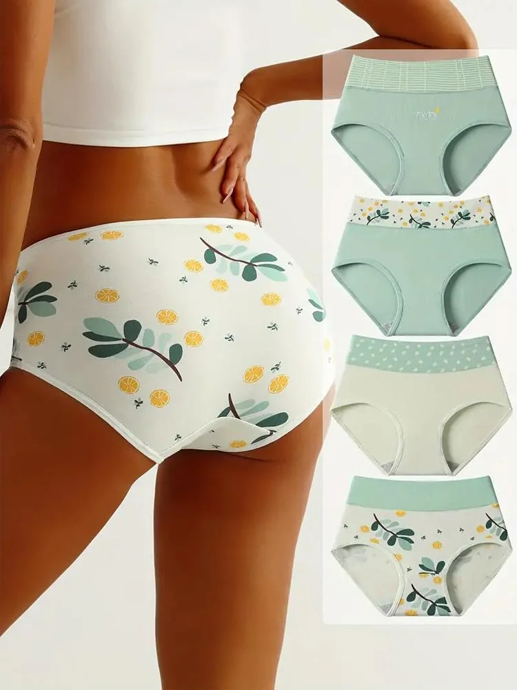 Women's Plus Size Cotton Briefs, 4 Pieces — Product detail image 2
