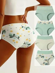 Women's Plus Size Cotton Briefs, 4 Pieces-2
