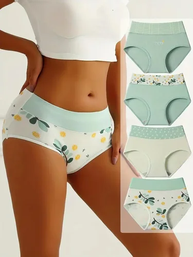 Women's Plus Size Cotton Briefs, 4 Pieces