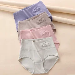 Women's Plus Size Cotton Briefs, 4 Pieces-10