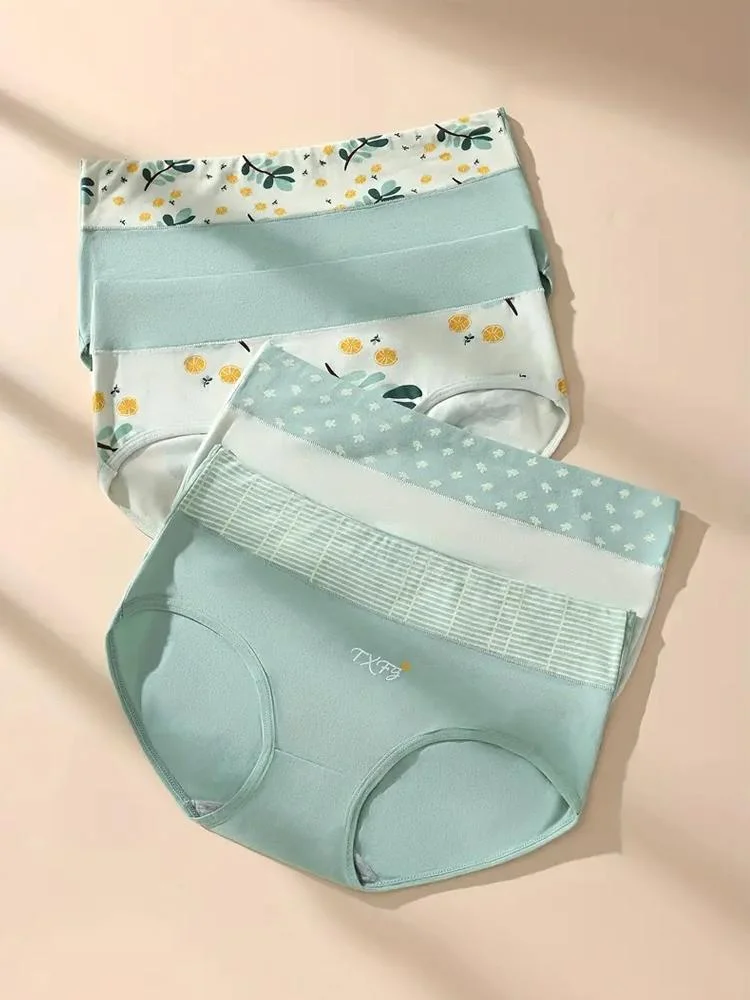 Women's Plus Size Cotton Briefs, 4 Pieces — Product detail image 5