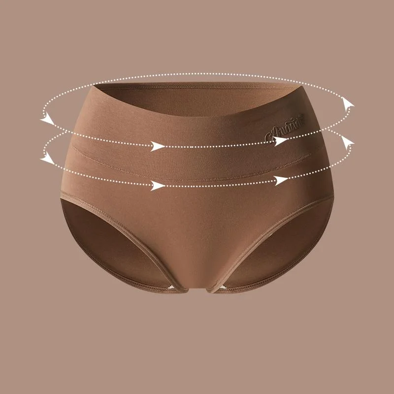 Women's Plus Size Cotton High-Waist Briefs, 4 Pieces — Product detail image 3