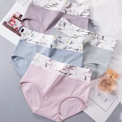 Women's Plus Size Cotton Briefs, 4 Pieces-13