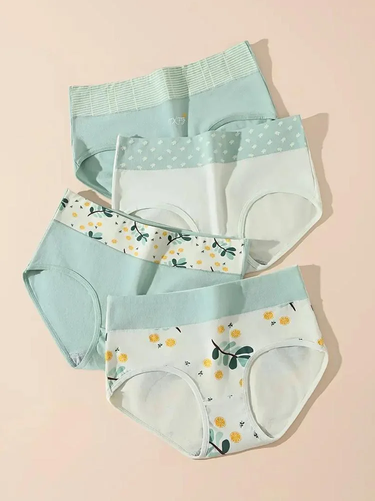 Women's Plus Size Cotton Briefs, 4 Pieces — Product detail image 3