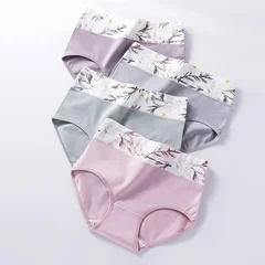 Women's Plus Size Cotton Briefs, 4 Pieces-17