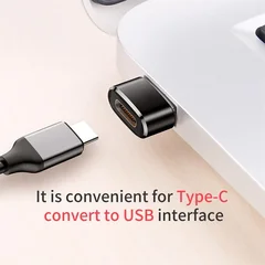 Adaptador OTG de USB C macho a Micro USB hembra-2