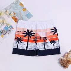 Men's Quick-Dry Square Leg Swim Trunks-2