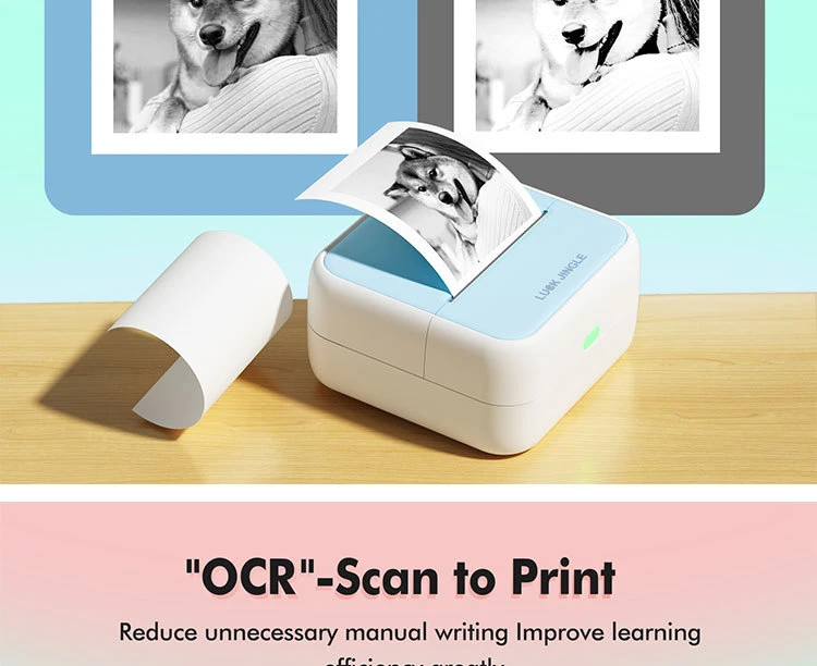Qinya Mini Portable Bluetooth Thermal Label Printer